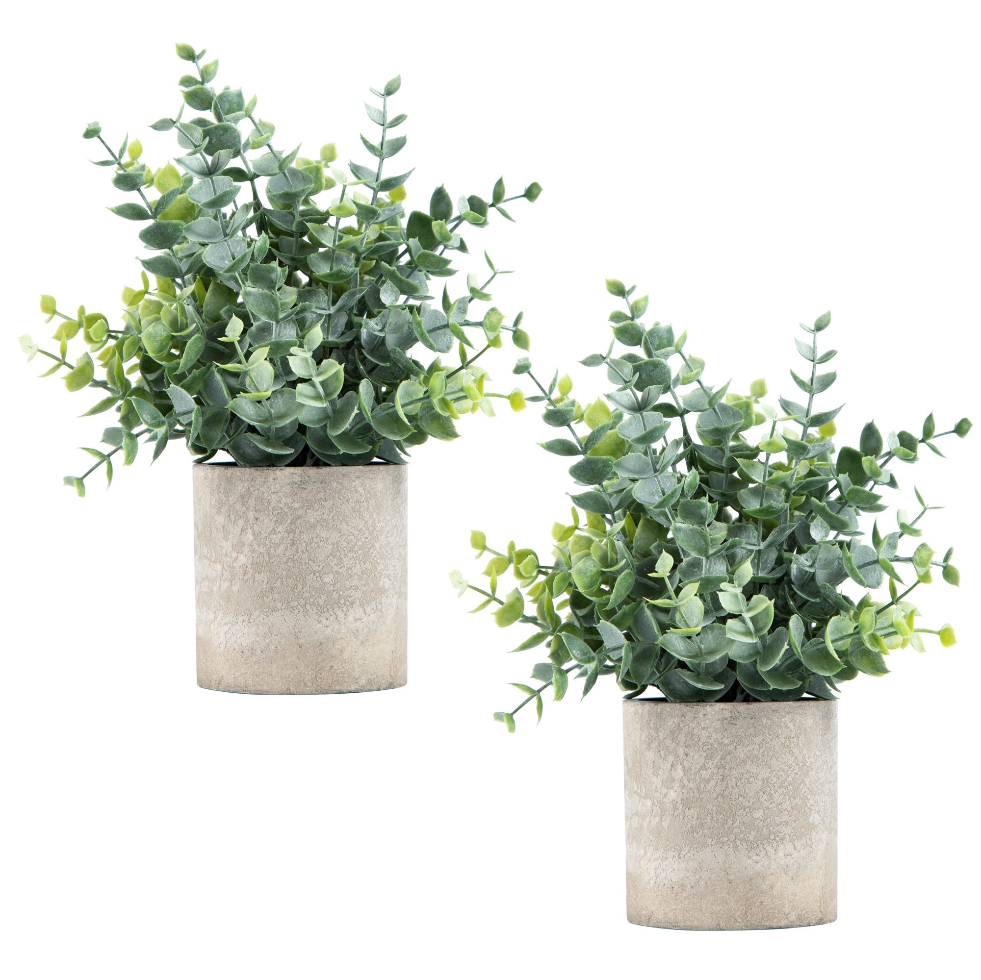 Small Fake Eucalyptus Plants